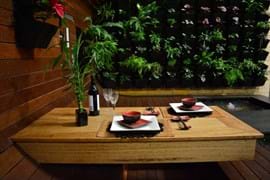 outdoor decking and vertical garden